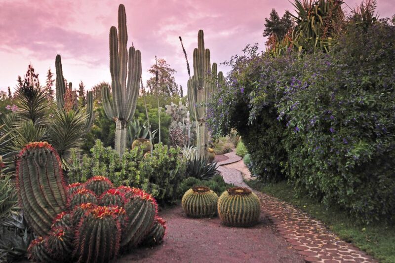 Marrakech Tour Gardens Majorelle, Menara & Anima Gardens - The Sum Up