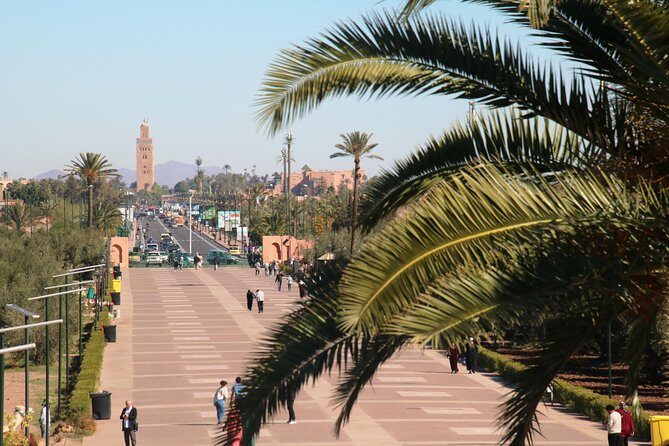 Marrakech Tour Gardens Majorelle, Menara & Anima Gardens - Who Should Consider This Tour?
