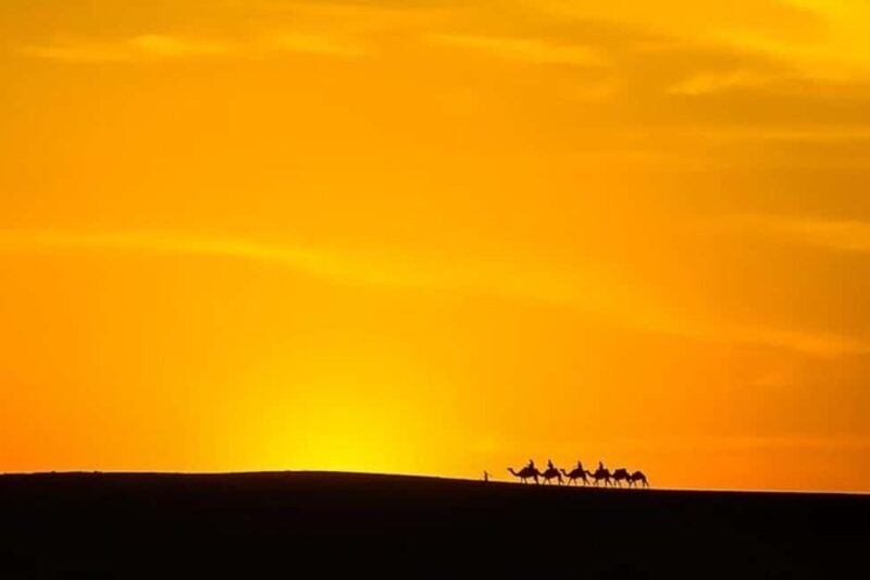 Marrakech: VIP Quad & Camel with Agafay Desert Dinner - The Sum Up: Who Is This Tour Best For?