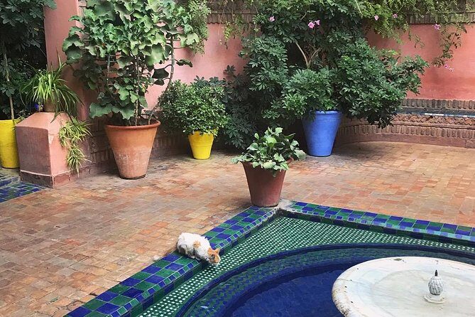 MARRAKECH Walking Tour with a Local Official Guide - Final Thoughts
