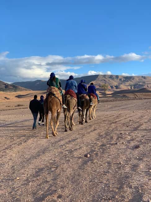 Marrakech: Waterfall, Valley, Atlas Mountain, Camel & Desert - FAQs