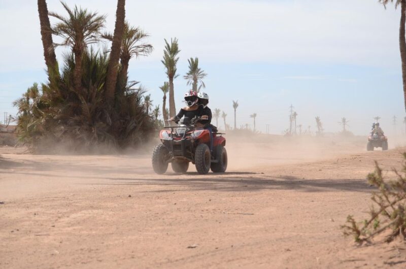 Marrakech:Activities Quad bik/Buggy/Camel at the palm grove - Key Points