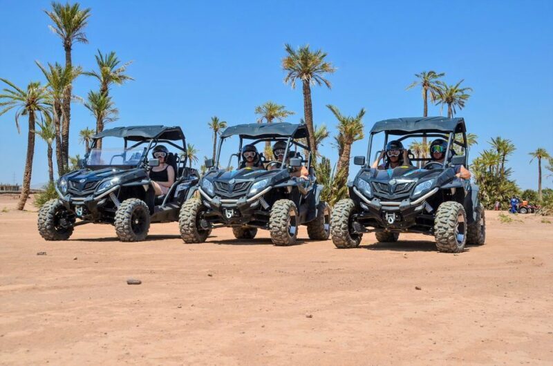Marrakech:Activities Quad bik/Buggy/Camel at the palm grove - Introduction to Marrakech’s Adventure Offerings