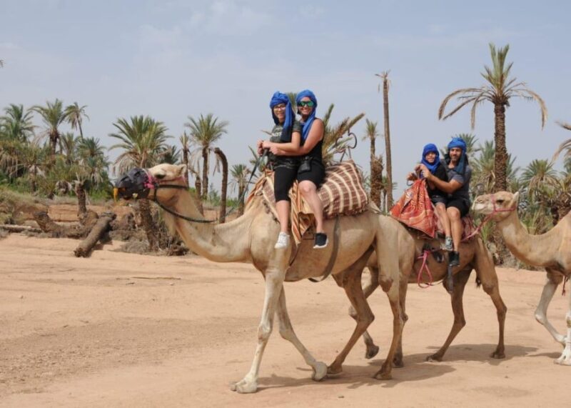 Marrakech:Activities Quad bik/Buggy/Camel at the palm grove - FAQ
