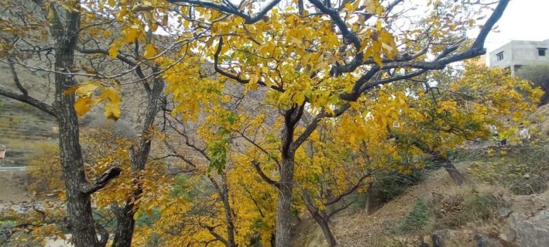 Marrakech:Atlas Mountains, Ourika Valley Day Trip,Waterfall - Frequently Asked Questions