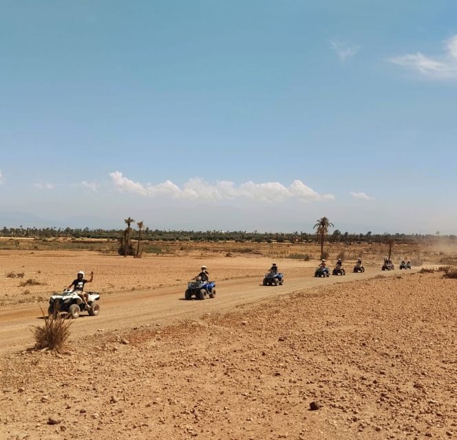 Marrakech:excursion quad in Oasis palm & jbilat desert,tea - Key Points