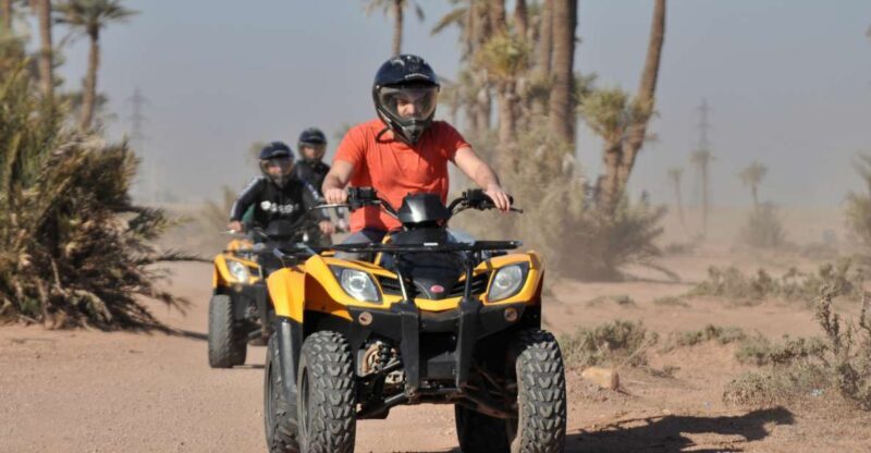 Marrakech:excursion quad in Oasis palm & jbilat desert,tea - Who Will Love This Experience?