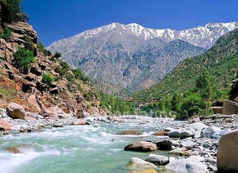 Marrakech's Atlas Adventures Ourika valley & Savory Lunch - Exploring Marrakech’s Atlas Adventures: Ourika Valley & Savory Lunch