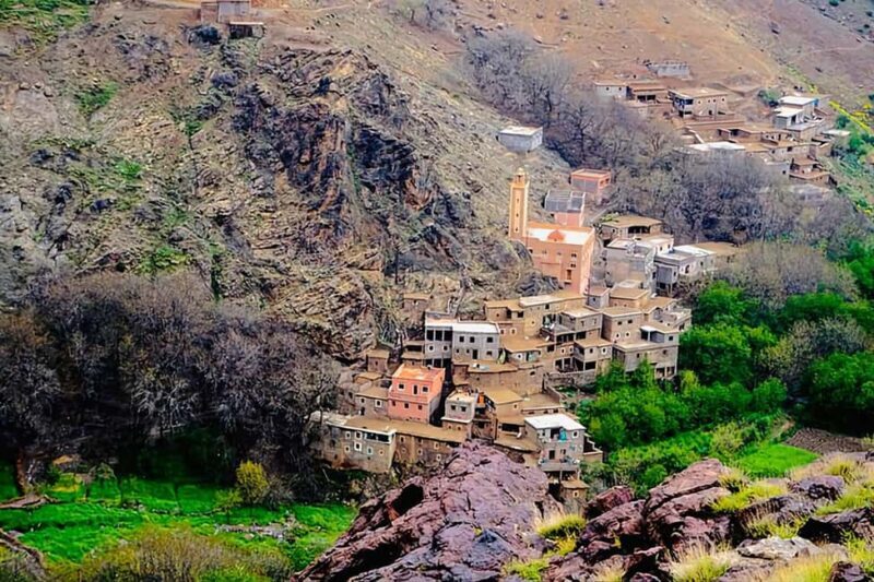 Marrakech's Atlas Adventures Ourika valley & Savory Lunch - Who This Tour Is Best For