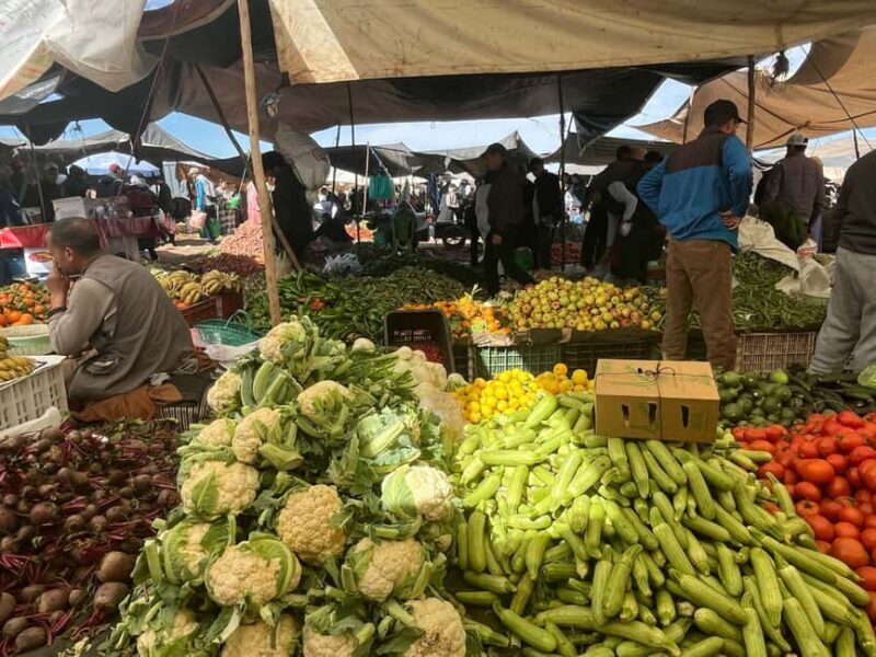 Marrakech:Visit of Berber Market (rural) around Marrakech - Key Points