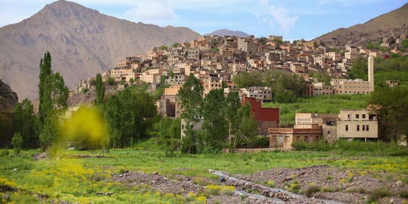 Marrakesh: 2-Day Mt. Toubkal Trek with 1-Night Stay & Meals - Guides and Support