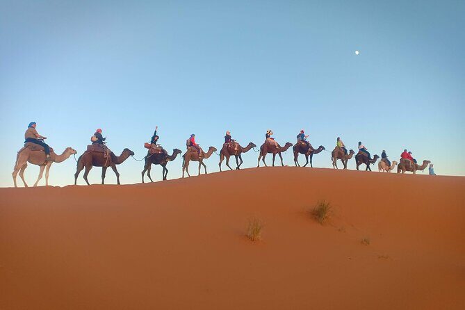 Marrakesh 3 Days Tour to Fez with Overnight Desert Camping - FAQ