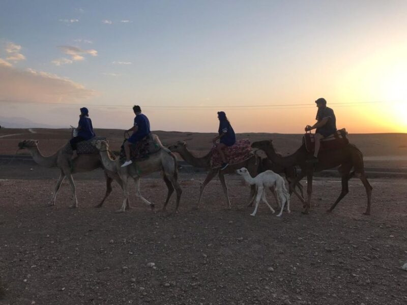 Marrakesh: Agafay Desert Quad & Camel Tour with Dinner - Final Wrap-Up