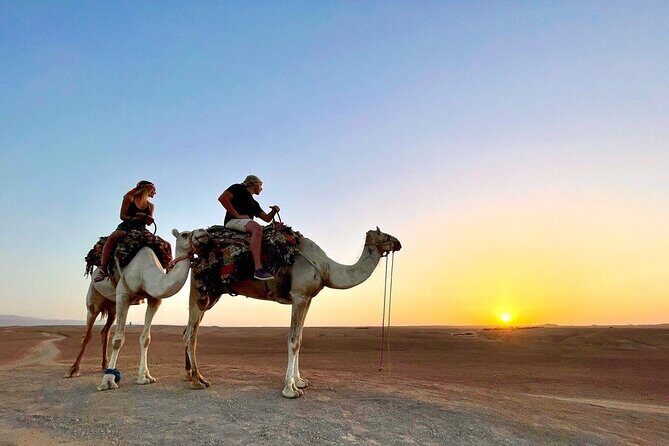 Marrakesh: Agafay Desert Sunset, Camel Ride, and Dinner Show - Practical Insights and Value