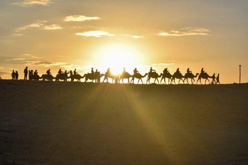 Marrakesh: Agafay Desert Sunset, Camel Ride, and Dinner Show - Key Points