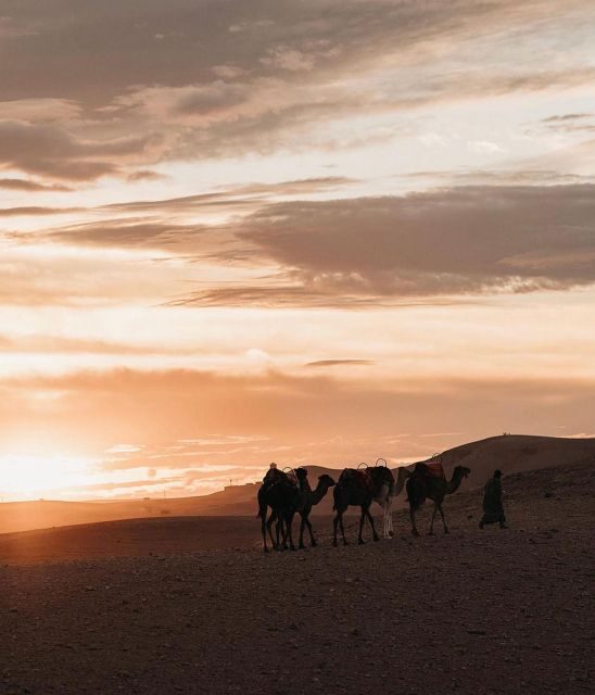 Marrakesh: Agafay Desert Sunset, Camel Ride, and Dinner Show - Pricing and Value for Money