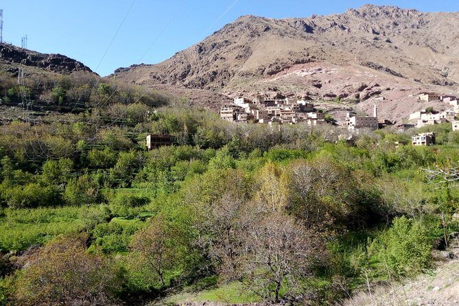 Marrakesh: Atlas Mountains Ourika Valley waterfall & Guide - Who Will Enjoy This Tour?