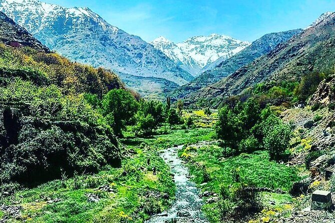 Marrakesh: Atlas Mountains Tour with a Guide - Key Points