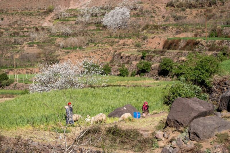 Marrakesh: Berber Villages, Atlas & Green Valleys 4-Day Trek - Practical Details and Value  
