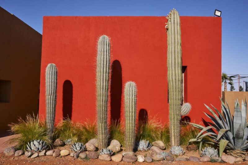 Marrakesh: Cactus Thiemann Entry Ticket - Practical Tips for Your Visit