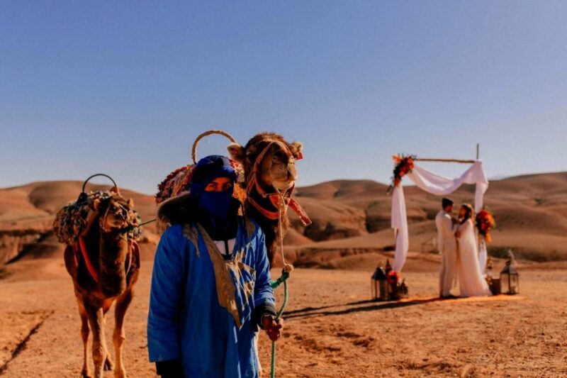 Marrakesh: Desert & Mountain Tour with Camel Ride & Lunch - What Could Be Better?