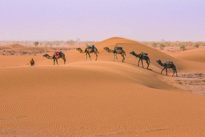 Marrakesh desert tour 3 days - Final Thoughts