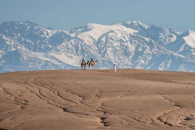 Marrakesh: High Atlas, Agafay desert and Waterfalls Tour - Key Points