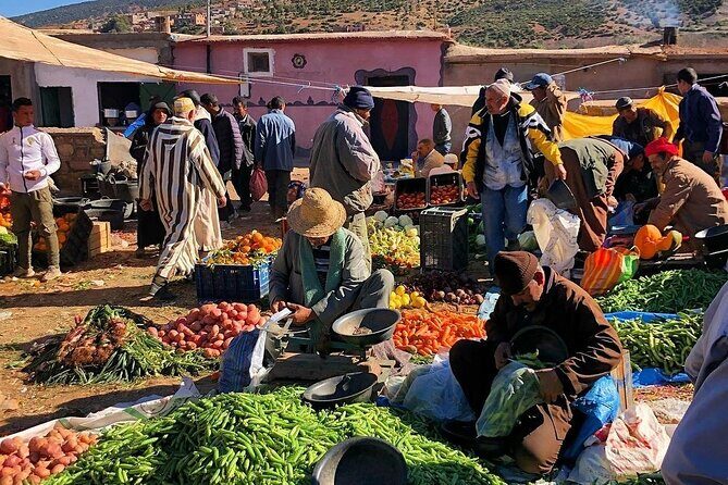 Marrakesh: High Atlas, Agafay desert and Waterfalls Tour - A Closer Look at the Itinerary and Experience