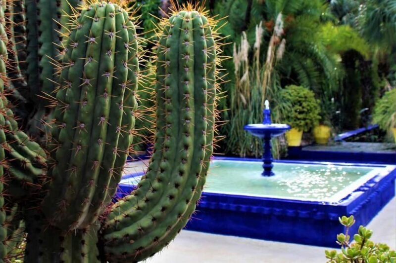 Marrakesh: Majorelle Garden Entry Tickets - Additional Tips and Practicalities