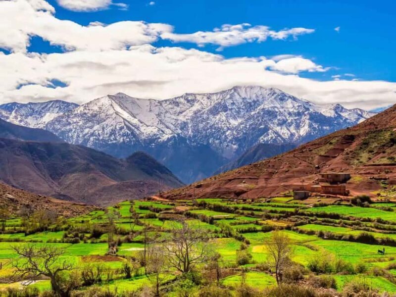 Marrakesh: Ourika Waterfalls, Atlas Mountains, Guide + Lunch - Final Thoughts: Who Will Appreciate This Tour?