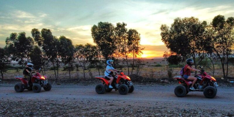 Marrakesh Palmeraie: Quad bike Adventure at Sunset - Exploring the Marrakesh Palmeraie by Quad Bike
