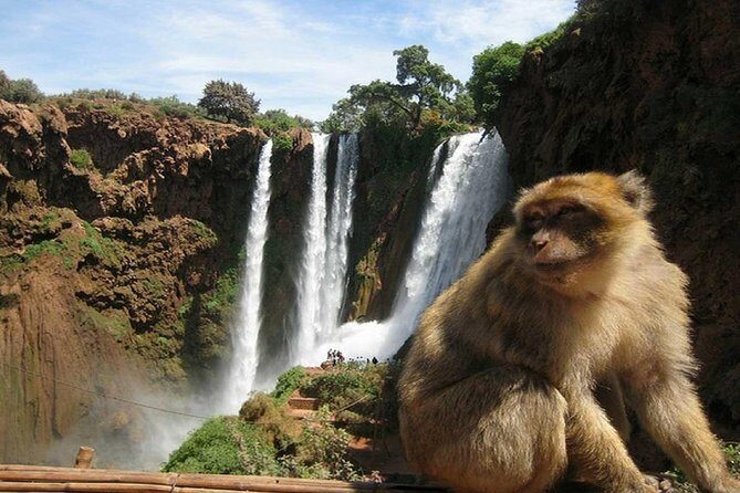 Marrakesh shared group tour to Ouzoud - Who Should Consider This Tour?