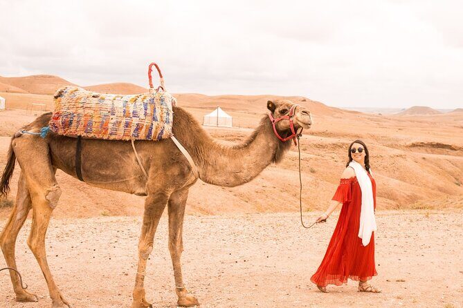 Marrakesh: Sunset Dinner in the Agafay with Show Transfers - A Closer Look at the Experience