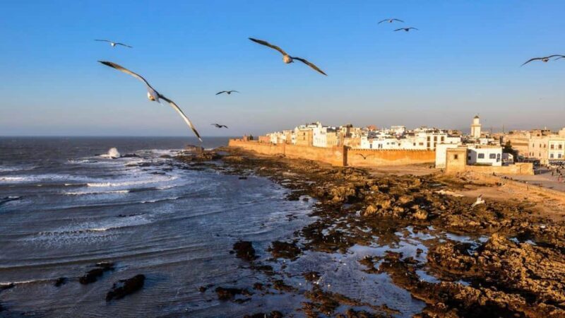 Marrakesh to Essaouira: Small-Group Day Trip & Cooperatives - Key Points