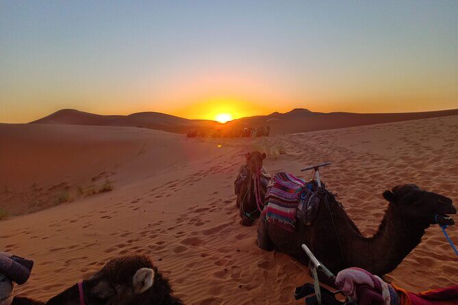 Marrakesh to Fez 3-Day with Overnight merzouga Desert Camping - Frequently Asked Questions