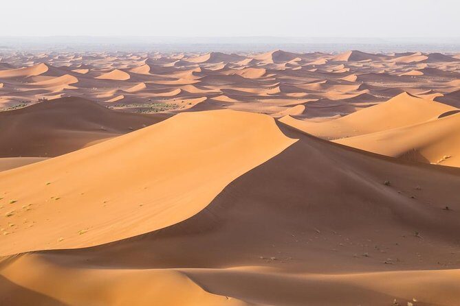 Marrakesh to Fez 3-Days Desert Tour from Marrakesh - Is This Tour Worth the Price?