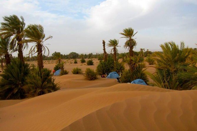 Marrakesh to Fez 3-Days Desert Tour from Marrakesh - Who Should Consider This Tour?