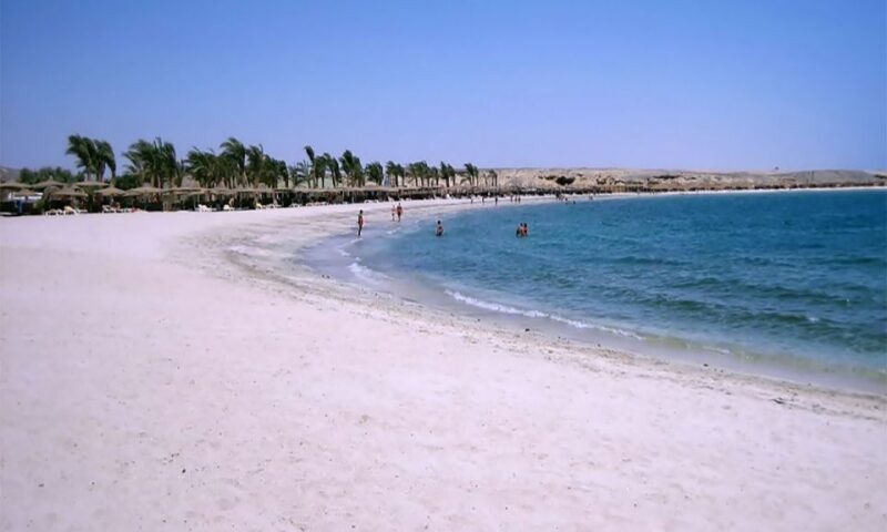 Marsa Alam: Abu Dabbab Snorkeling Tour - An Overview of the Abu Dabbab Snorkeling Experience