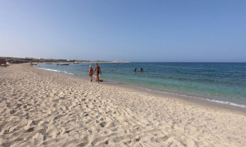 Marsa Alam: Abu Dabbab Snorkeling Tour - The Marine Life You Might Encounter