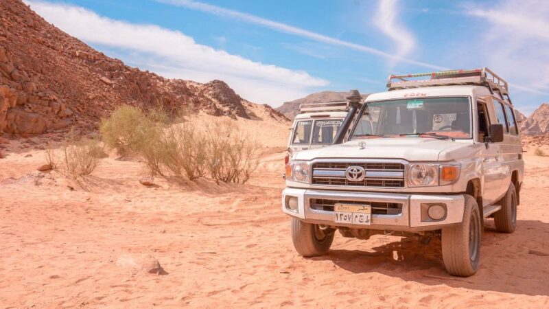 Marsa Alam Bedouin Nights: Jeep Safari, Dinner & Stargazing - A Closer Look at the Itinerary