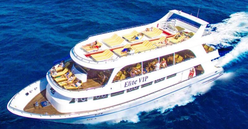 Marsa Alam: Elite vip Turtle bay snorkeling with BBQ Lunch - An Introduction to the Elite VIP Snorkeling Adventure