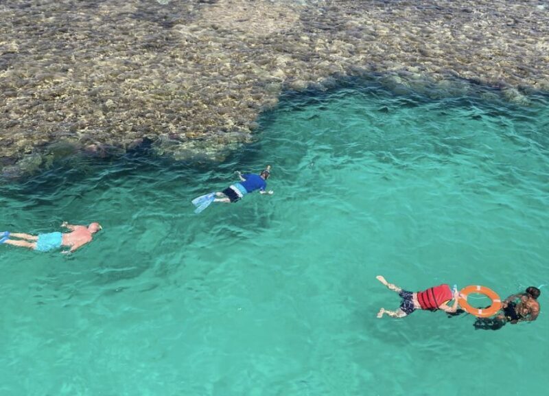 Marsa Alam: Elite vip Turtle bay snorkeling with BBQ Lunch - The Sum Up