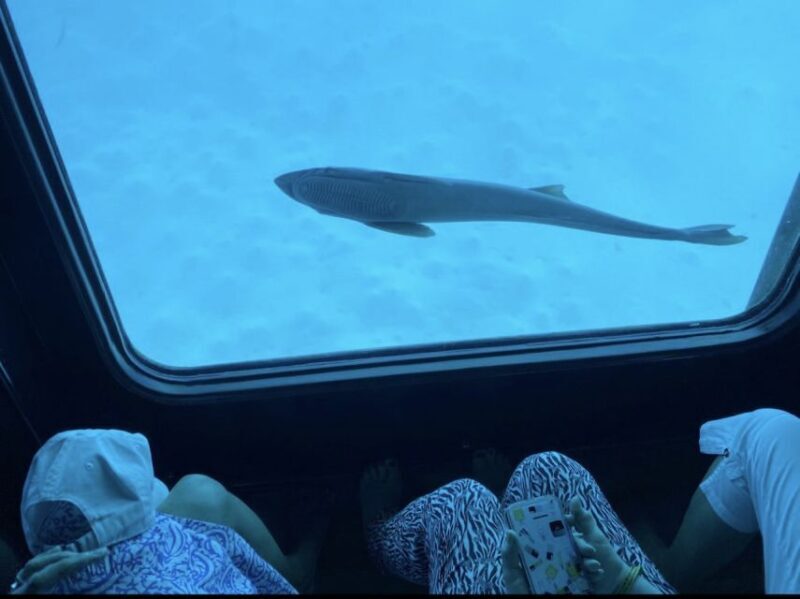 Marsa Alam: Nefertari Cruise with Snorkeling & Lunch/dinner - FAQ: Your Questions Answered  