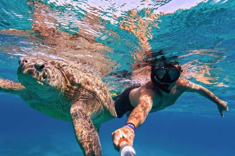 Marsa Alam: Pirates Premium Boat to turtle bay with lunch - Authentic Insights from Reviews