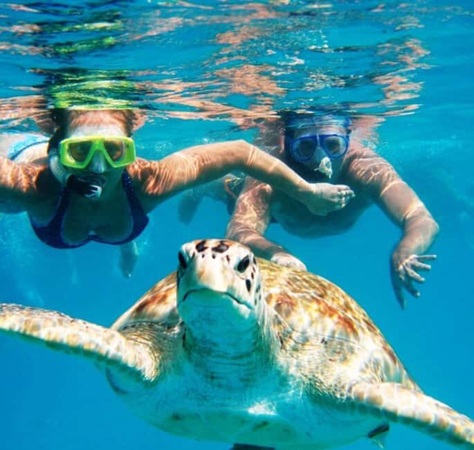 Marsa Alam: Pirates Premium Boat to turtle bay with lunch - The Sum Up