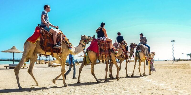 Marsa Alam: Sea and Desert Camel Riding Tour - Key Points