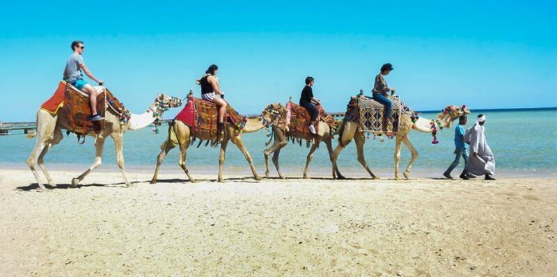 Marsa Alam: Sea and Desert Camel Riding Tour - A Calm and Scenic Adventure in Marsa Alam