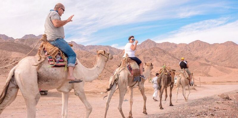 Marsa Alam: Sea and Desert Camel Riding Tour - Summary