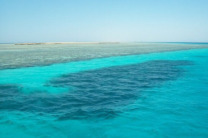 Marsa Alam: Snorkel with Sea Cows and Turtles at Marsa Mubarak - Group Size, Timing, and Overall Comfort
