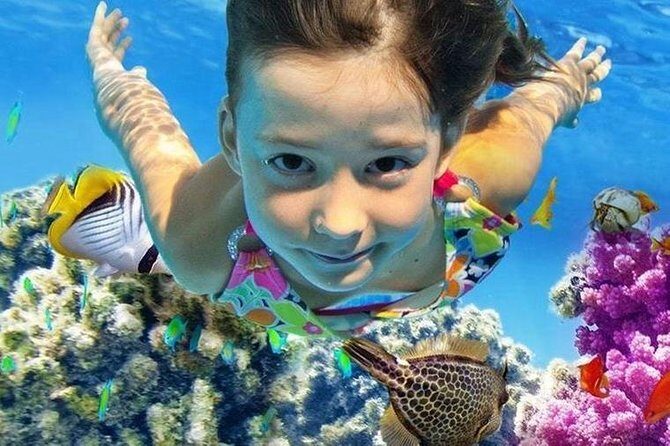 Marsa Alam: Snorkeling at Abu Dabab Beach - An In-Depth Look at the Abu Dabab Snorkeling Tour